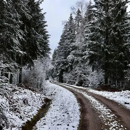 Altes Zollhaus Appartement Hallschlag Buitenkant foto
